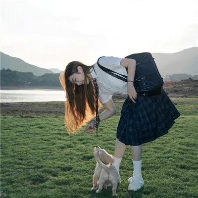 穿越大魏做秀才